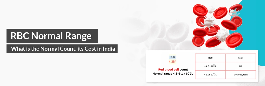 RBC Normal Range: What is the Normal Count, its Cost in India